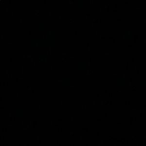 Meet your Posher, Rayanna